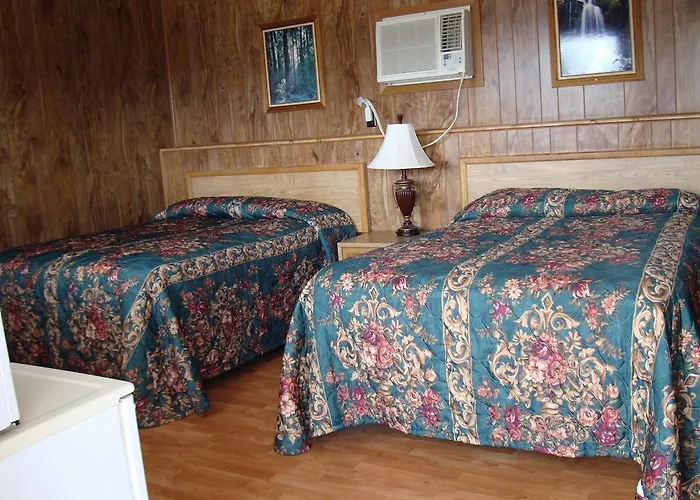 Cozy 2*